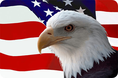 American Eagle Moving logo