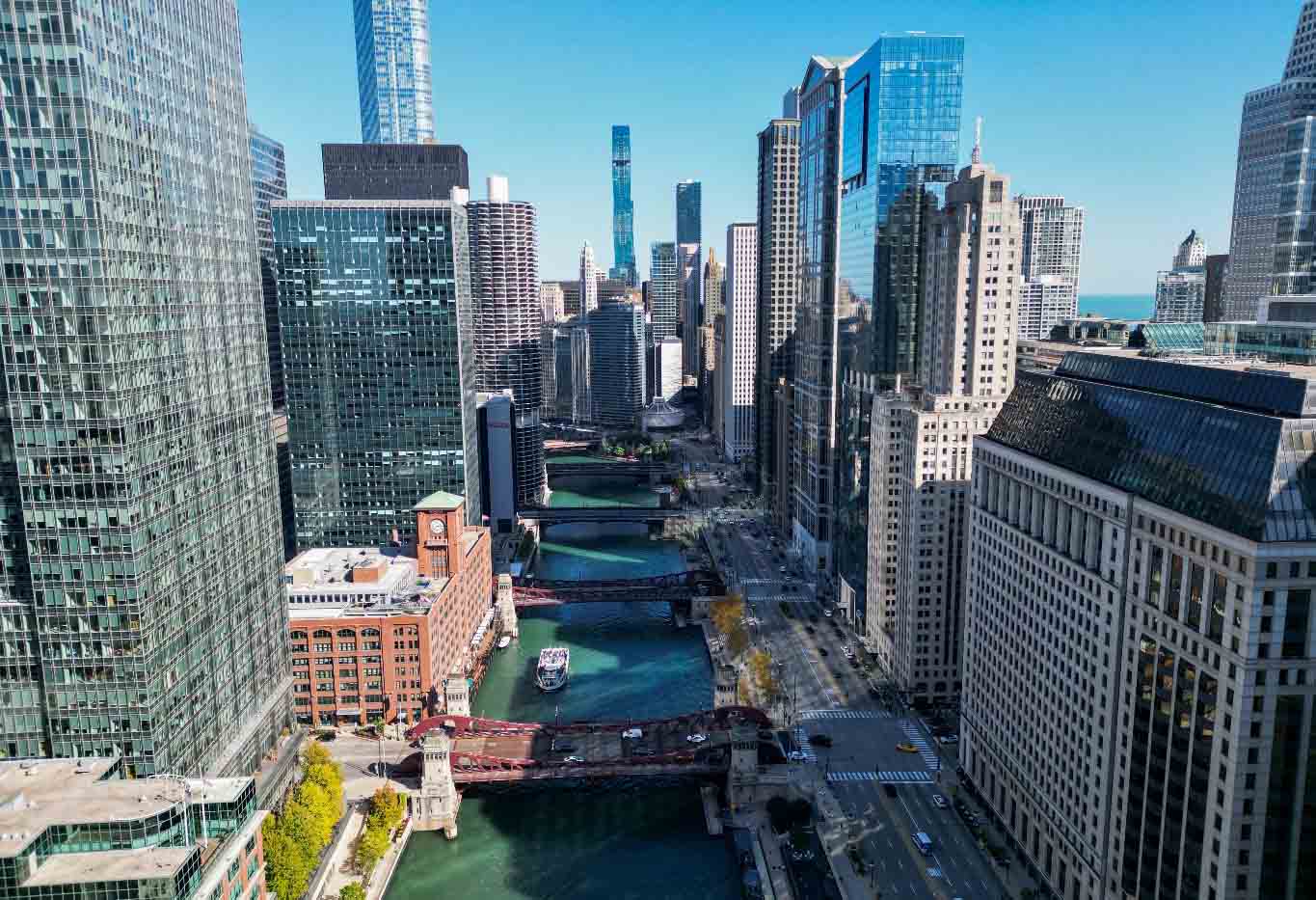 Professional Moving Services in Chicago