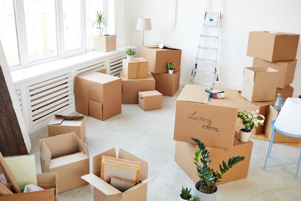 Why Choose Free Moving Boxes?